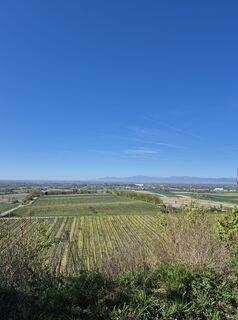 Photo de Johannes B le long du parcours