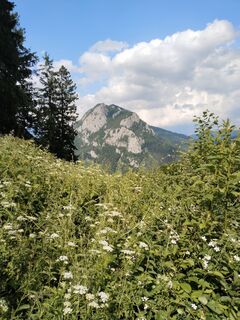 Fotografie z Petra Macher 1 na trase