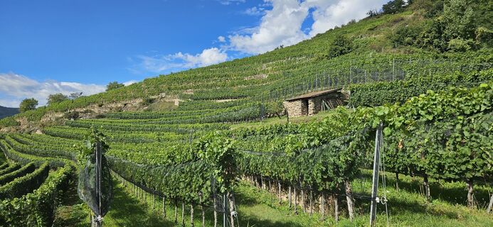 Fotografia z Elfriede Moessler na trase