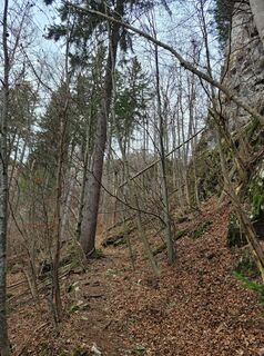 Fotografia z Juliane Jarke na trase