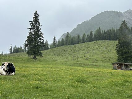 Photo de romanooo11 le long du parcours