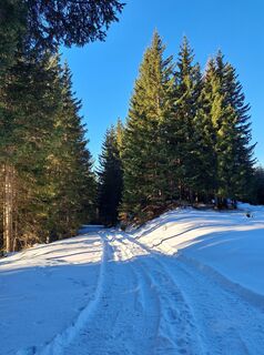 Fotografija s spletne strani Daniela König 1 na poti