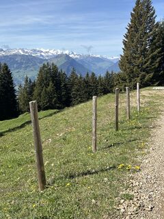 Fotografija s spletne strani Ewald Zweifel na poti