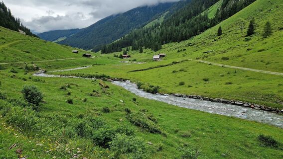 Fotografia z Gerrit van der Linde na trase