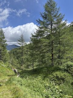 Foto von Marco Fatzi entlang der Tour