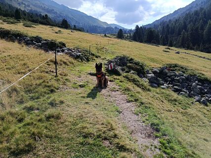 Foto von Kirsten Genglawski entlang der Tour