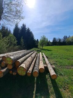Photo de Bernhard Weith le long du parcours