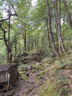 Foto von Koen De Wit entlang der Tour