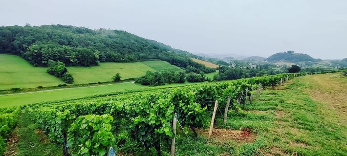 Fotografija s spletne strani Gie van den eeckhaut na poti