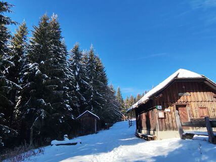 Foto de v.stein a lo largo del recorrido