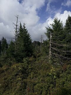Foto von Paul entlang der Tour