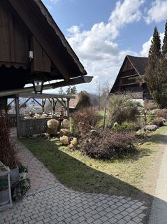 Fotografie z Reinhard Frewein na trase