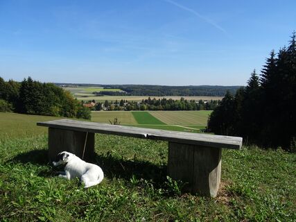 Auf dem Wirtsberg