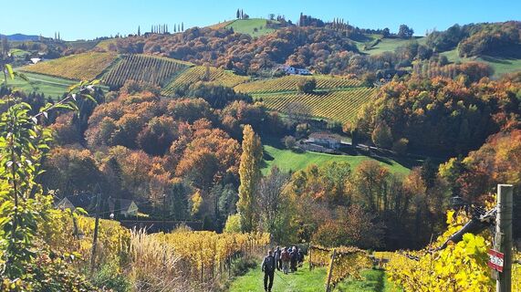 Fotografia z Karl Kriegseisen na trase
