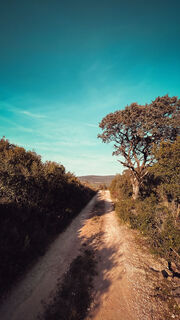 Photo de Neno le long du parcours