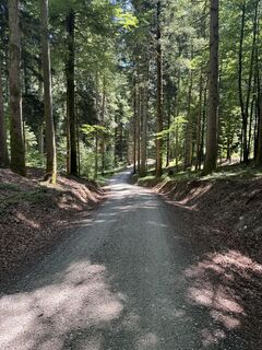 Foto von Robert - 1 entlang der Tour