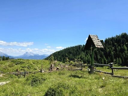 Fotografija s spletne strani MRDL na poti