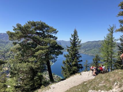 Fotografija s spletne strani Bernhard Hammer na poti