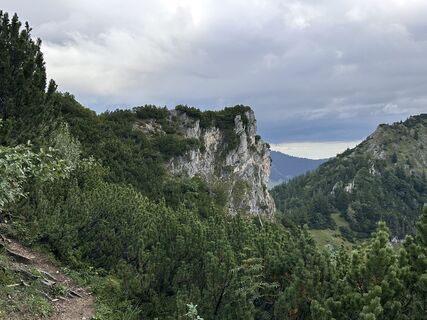 Fotografia z Norbert Herbig na trase