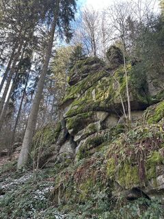 Foto von Lena Edinger entlang der Tour