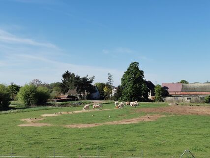 Fotografia z Wolfgang Runge na trase