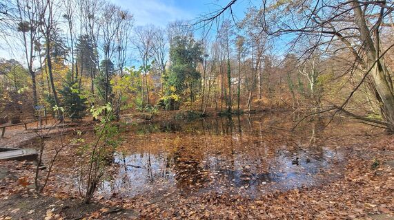 Foto von Regina Fleischmann entlang der Tour