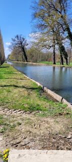Fotografija s spletne strani Nicky na poti