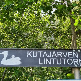 Auf dem Naturpfad Kutajärvi