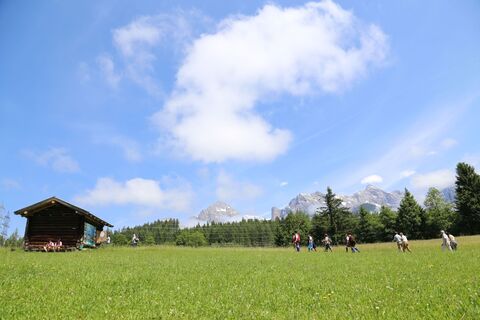 Auf den Spuren der Wallfahrer