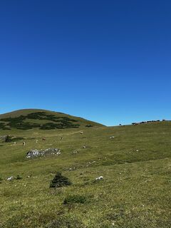 Photo de Florian Markes le long du parcours