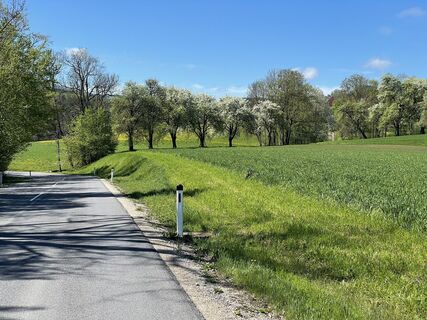 Fotografia z Martino68 na trase