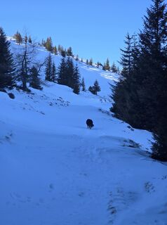 Foto von August Schmölzer entlang der Tour