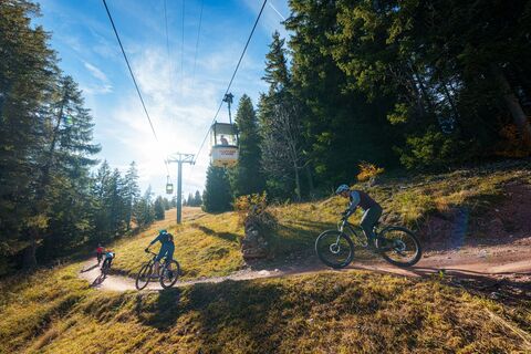 Der einfache Trail BlueSalamander ist Teil der Route