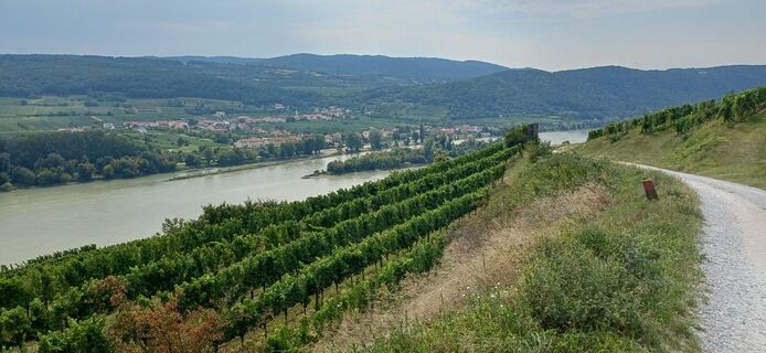 Fotografie de la Ewald Reil 1 de-a lungul turului