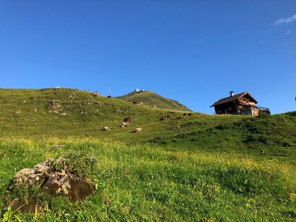 Salvensee_Kitzbüheler Alpen_Nicola Thost (2018)_LIGHT105.jpg