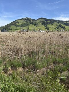 Fotografija s spletne strani Ewald Zweifel na poti