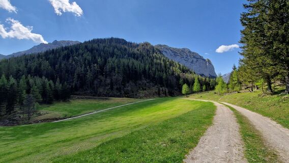 Photo de EP87 le long du parcours