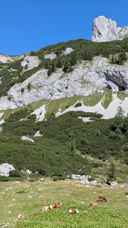 Photo de Martin Londgin le long du parcours