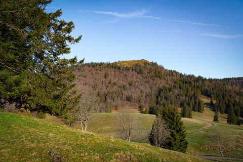 Über dem Krunkelbachtal erhebt sich die kahle Kuppe des Herzogenhorns