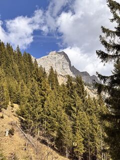 Fotografie z Alexis Sauter na trase