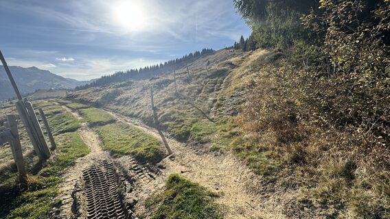 Foto von peter_oe entlang der Tour