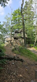 Foto da Andreas Henning lungo il tour