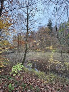 Fotó a ManCam honlapról a túra során