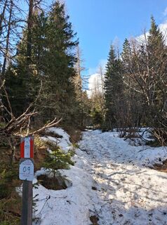 Foto von erich1207 entlang der Tour