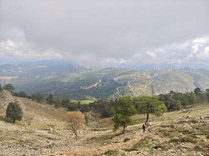 Photo de Car Los le long du parcours