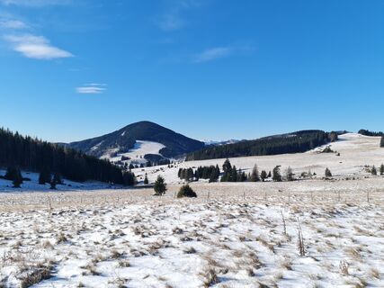 Photo from Tamara Schwarz 2 along the tour