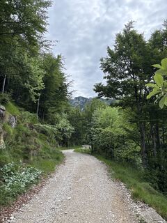 Foto de Heinz Sperl a lo largo del recorrido