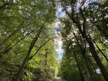 Fotografie z Hans-Martin Kühn na trase