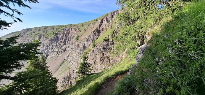 Photo de David Bubenheim le long du parcours