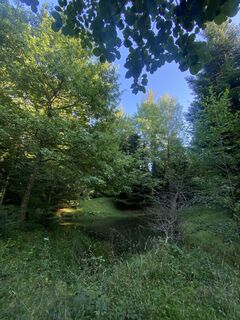 Fotografia z Adelina Arendarska na trase